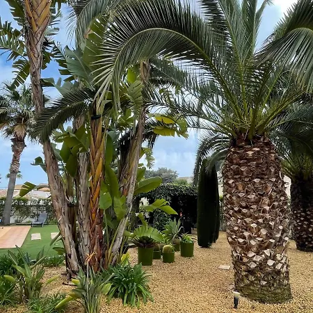 Exclusive In Fustera With Garden * Pedramala