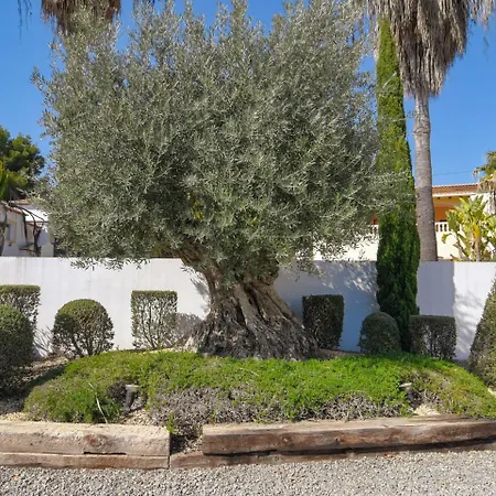 Exclusive In Fustera With Garden Villa Pedramala